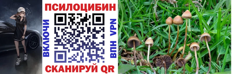 Галлюциногенные грибы GOLDEN TEACHER  Ханты-Мансийск 
