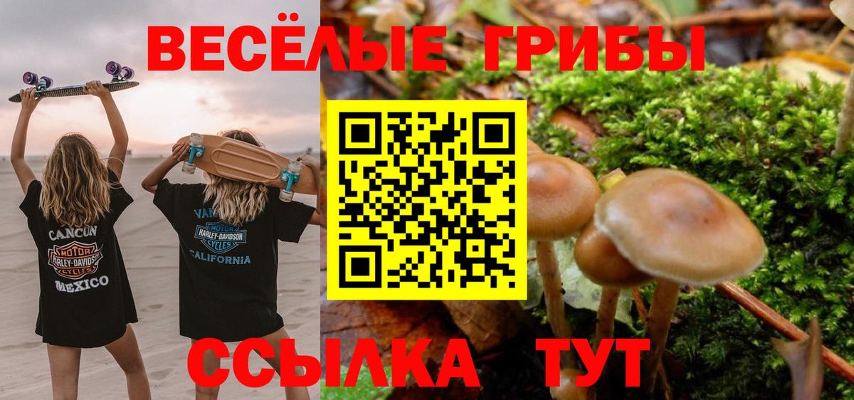 Галлюциногенные грибы Psilocybine cubensis  Псилоцибиновые грибы мицелий  Ханты-Мансийск  Вход с VPN 